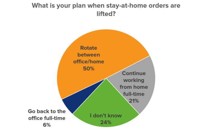 pandemic stay at home order plan