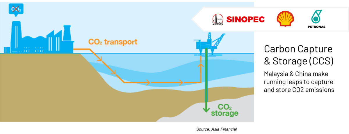 Environmental Examples in ESG