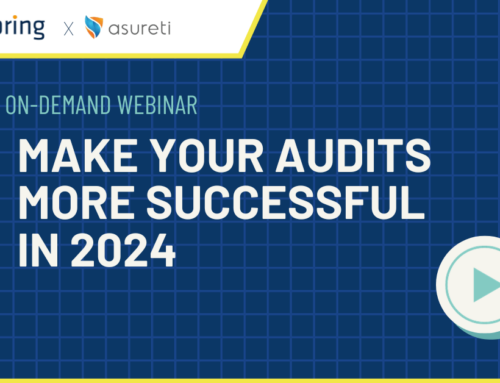 Make Your Audits More Successful On-Demand Webinar