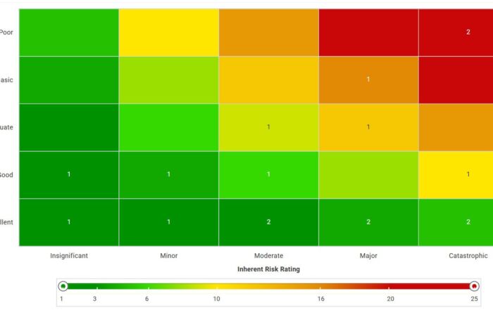 Risk Control Matrix (RCM): Quick Guide to Building Business Resilience cover