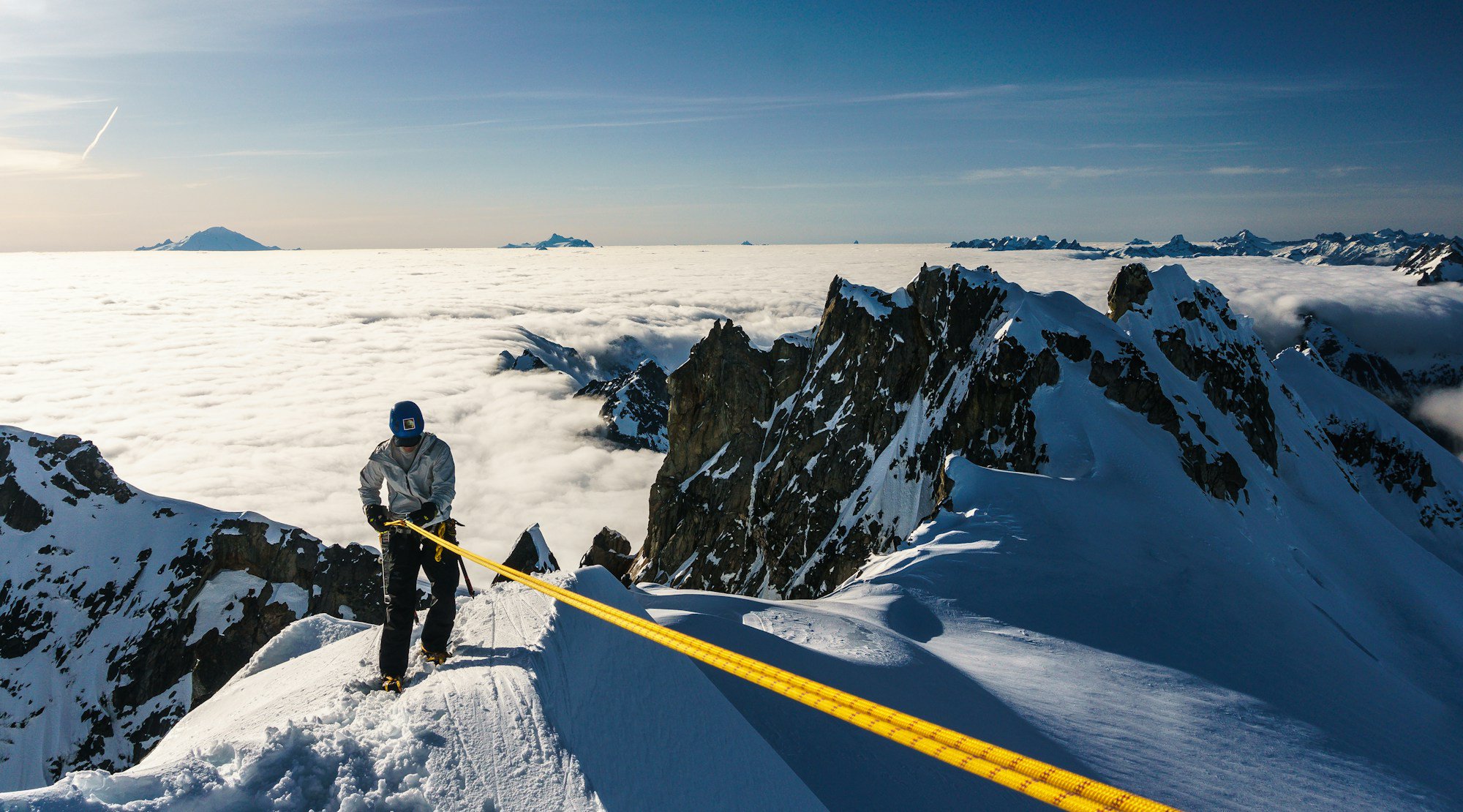 Guide: Risk Management Strategies To Future-Proof Your Organization