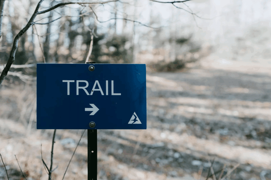 What is an Audit Trail? Definition & Key Components | Onspring