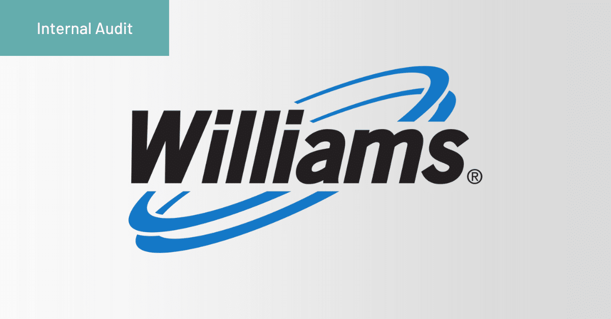 Williams Audit Case Study
